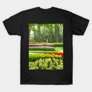 Keukenhof Tulip Festival, Holland T-Shirt